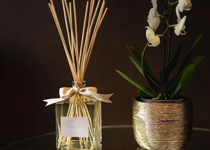 Park Penthouse & Pool - Heated Pool - Bed and Breakfast