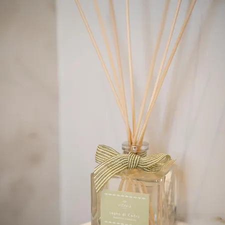 Park Penthouse & Pool - Heated Pool - Bed & Breakfast 4*