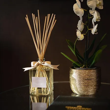 Park Penthouse & Pool - Heated Pool - Bed and Breakfast